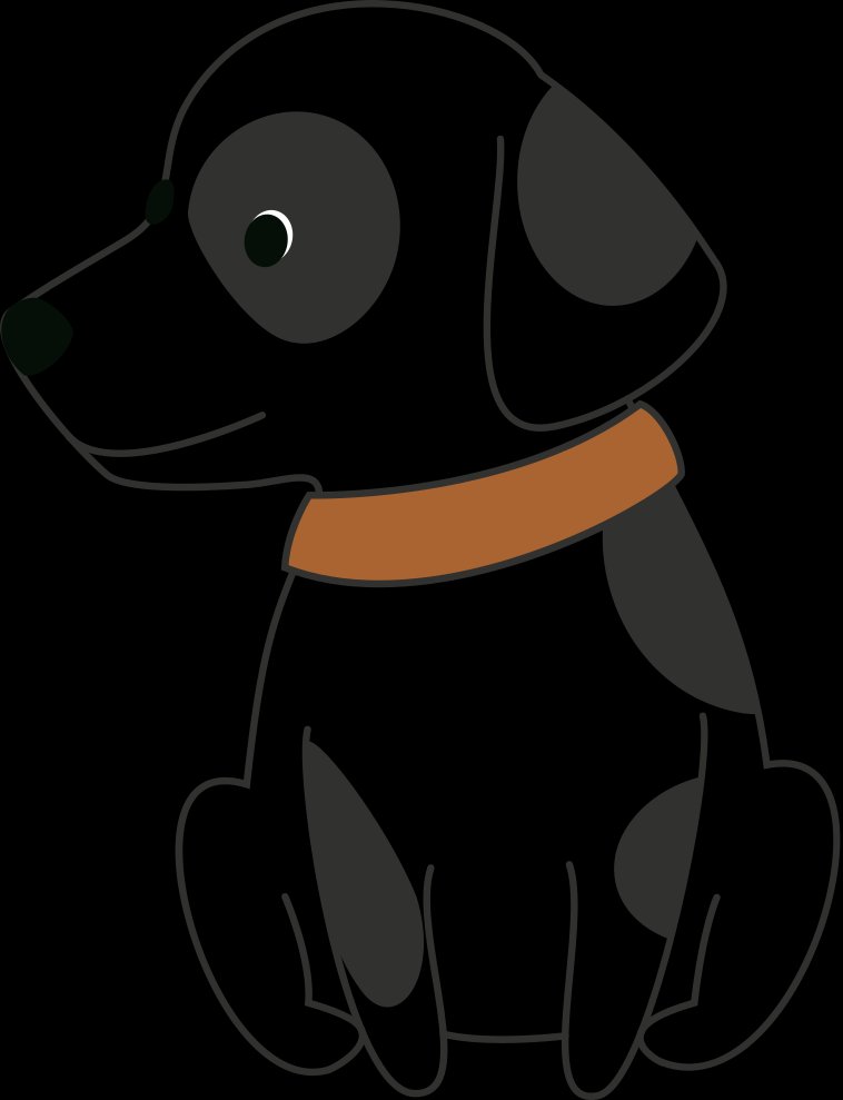 Illustration of questions and answers about pet waste removal