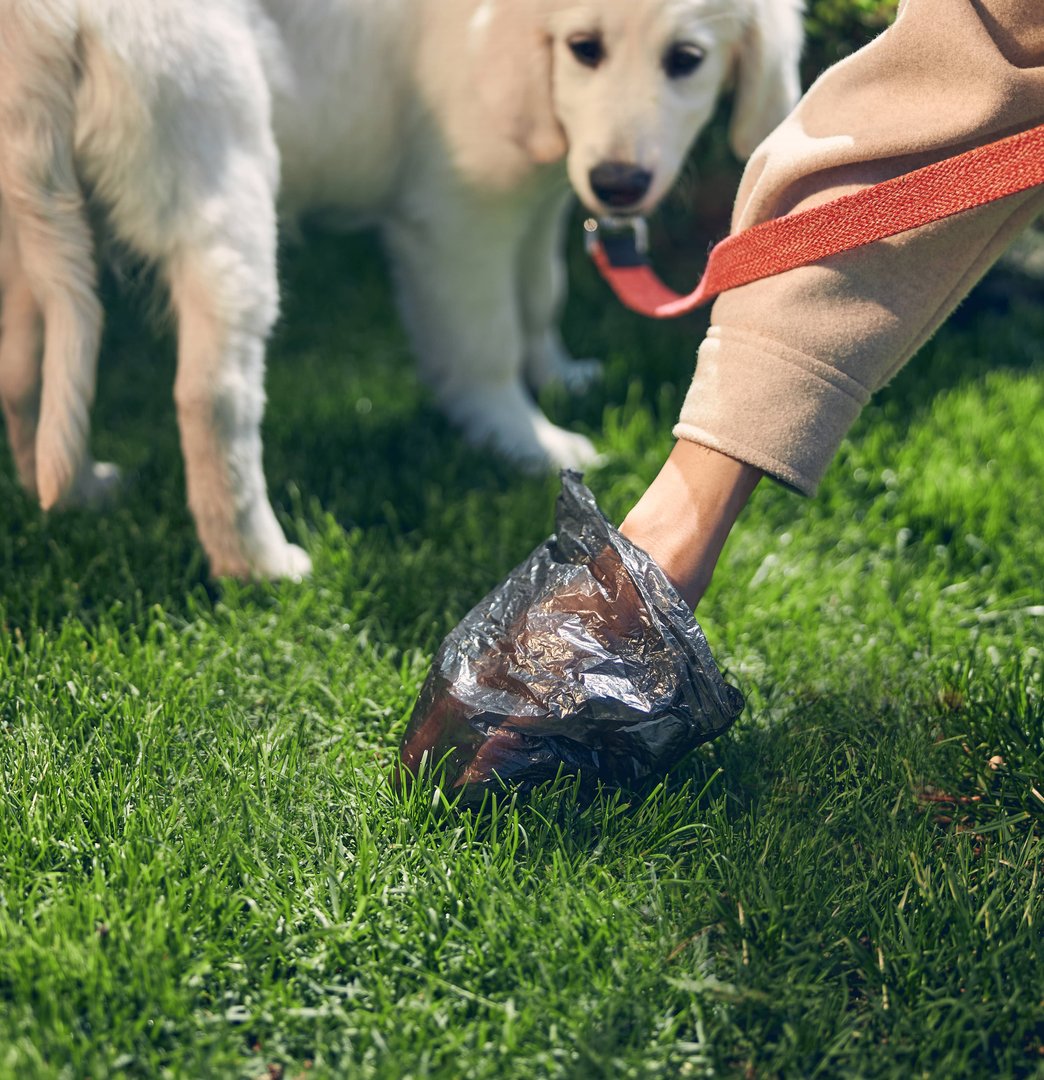 Technician performing a deep clean of a Birmingham backyard